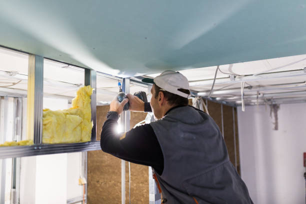 Best Blown-in Insulation in North Les, AK