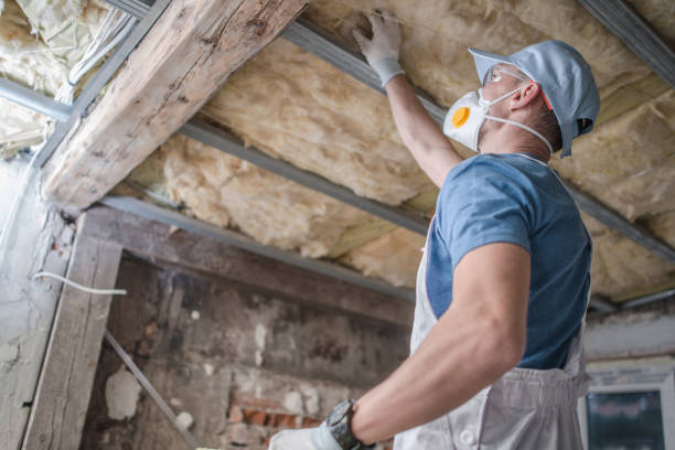 Best Geographic-Specific Insulation Services in North Les, AK